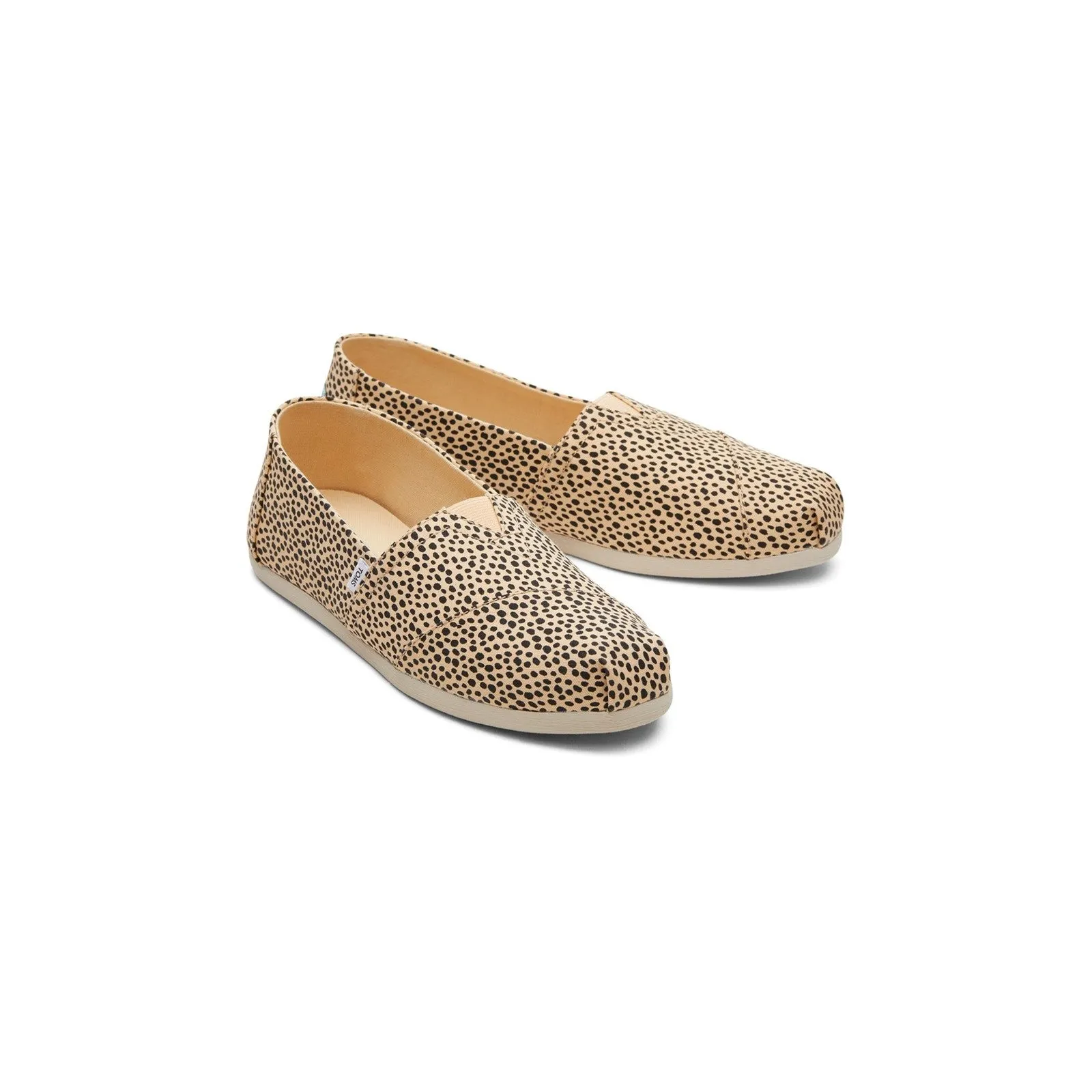Toms Alpargata with Cloudbound Shoes