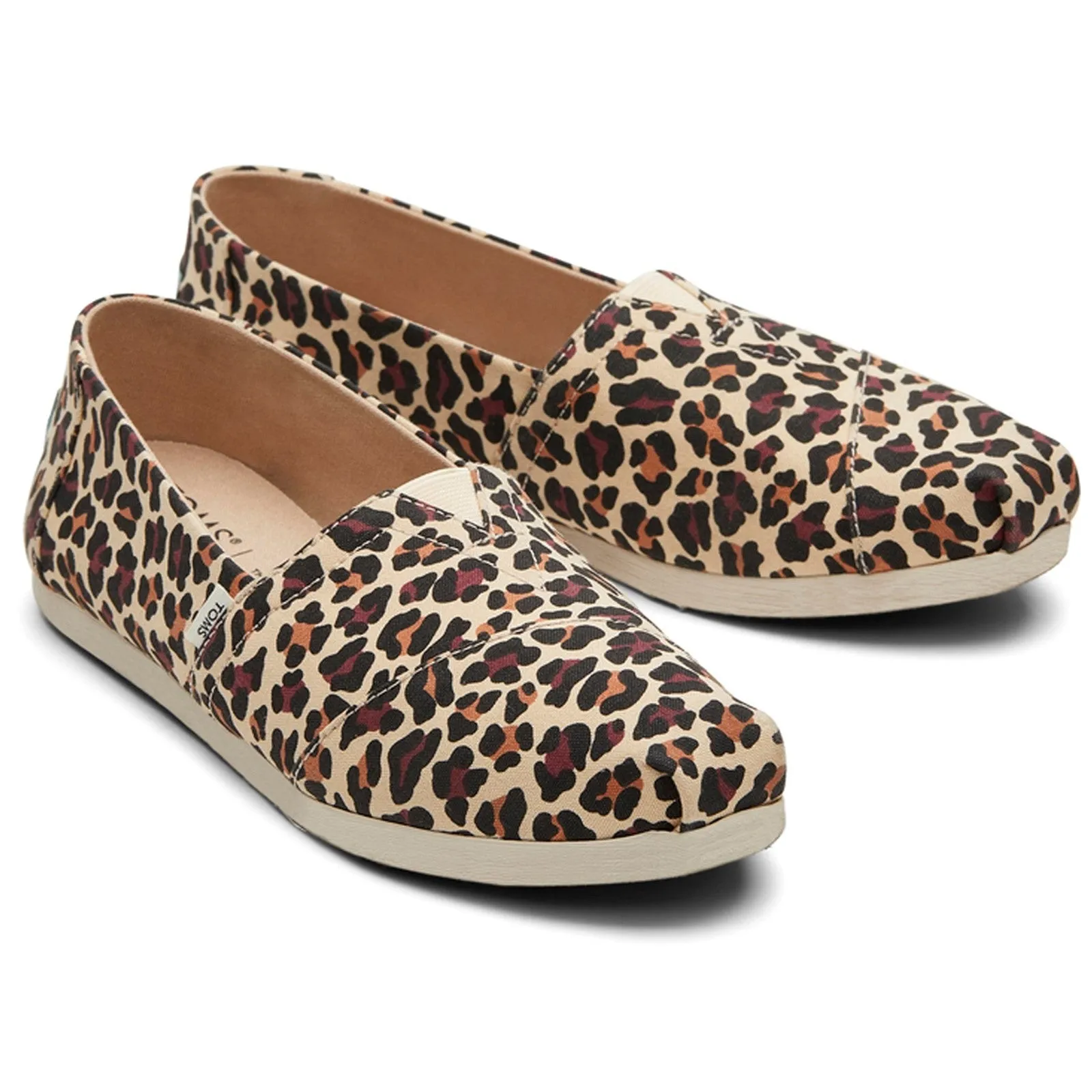 Toms Alpargata with Cloudbound Shoes