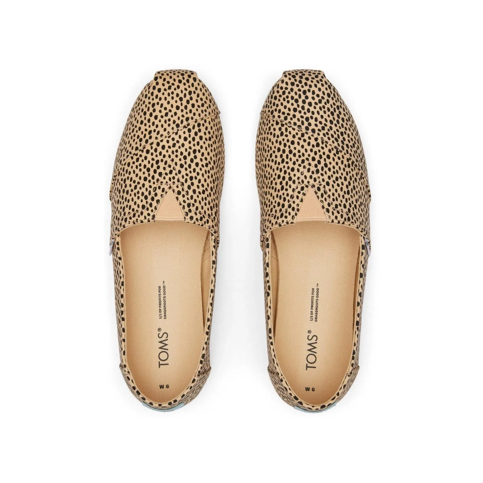 Toms Alpargata with Cloudbound Shoes