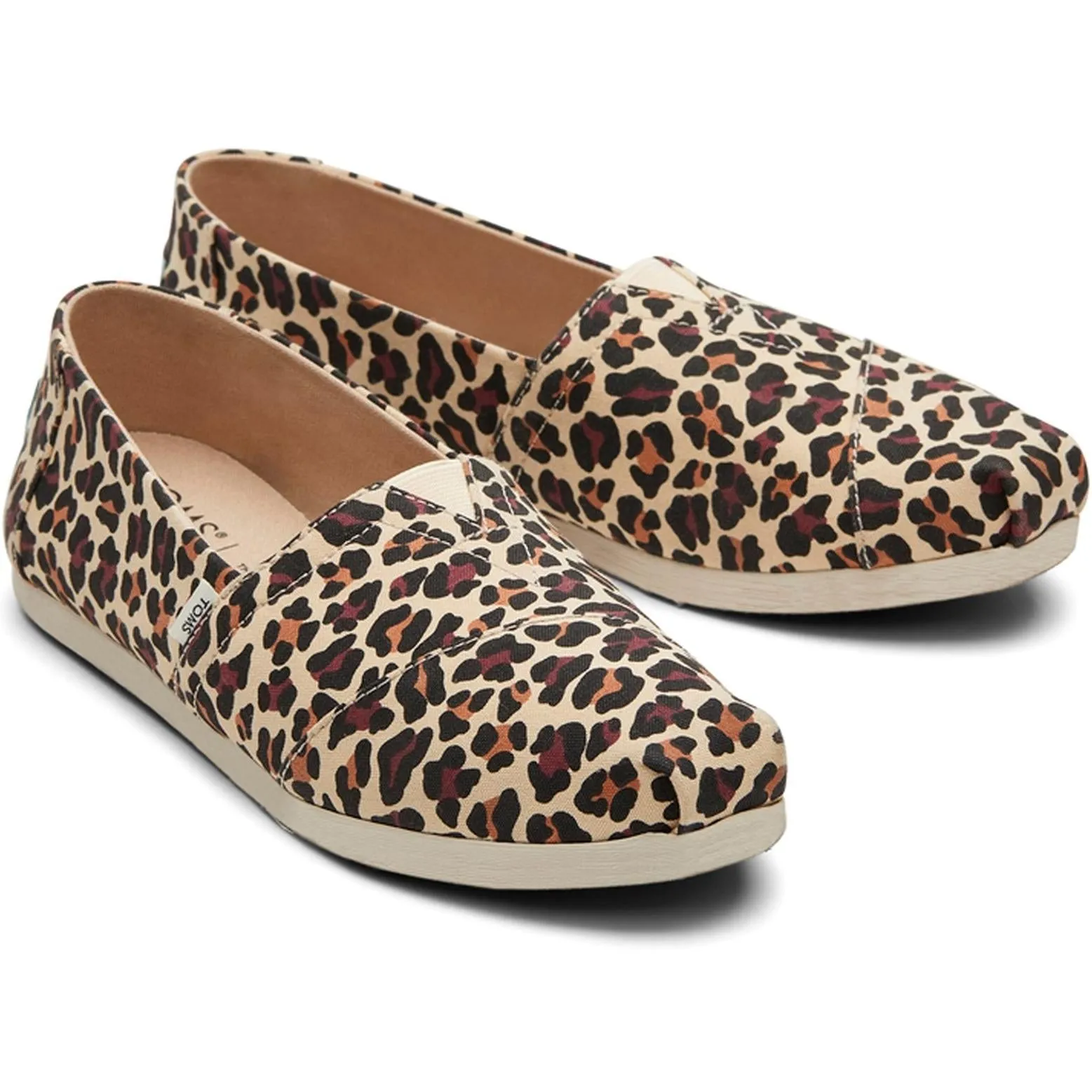 Toms Alpargata with Cloudbound Shoes
