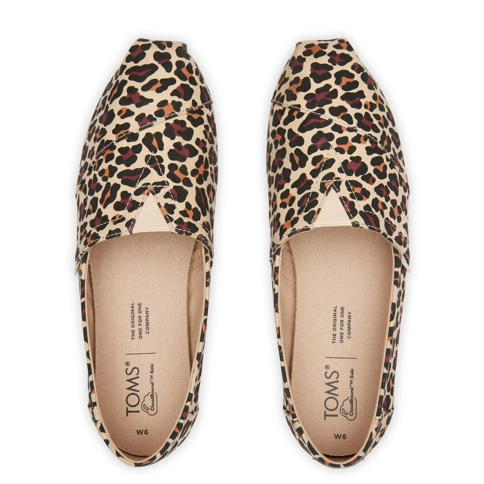 Toms Alpargata with Cloudbound Shoes
